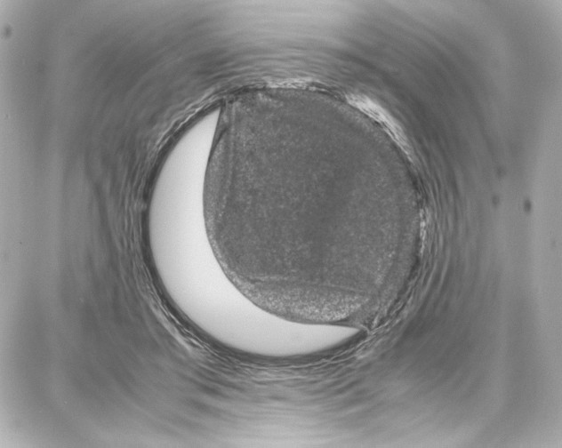 X0000087670405200705251624