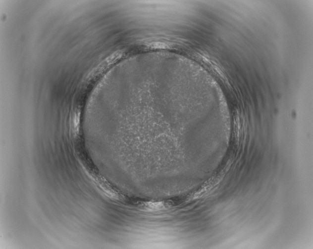 X0000087670406200705251624