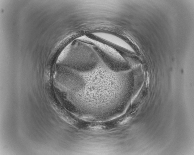 X0000087670407200705251624