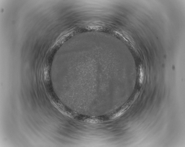 X0000087670408200705251624