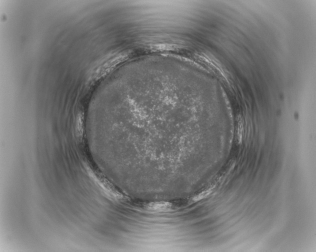 X0000087670410200705251624