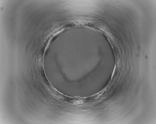 X0000087670411200705251624