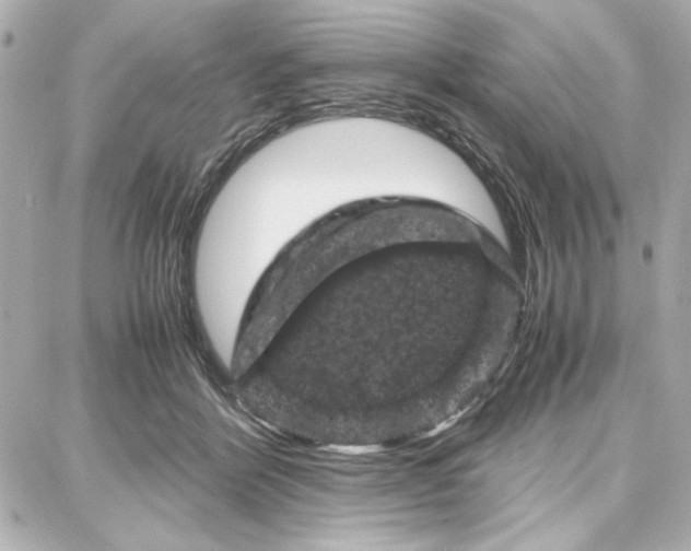 X0000087670412200705251624