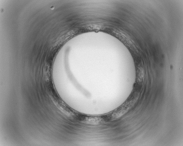 X0000087670414200705251624