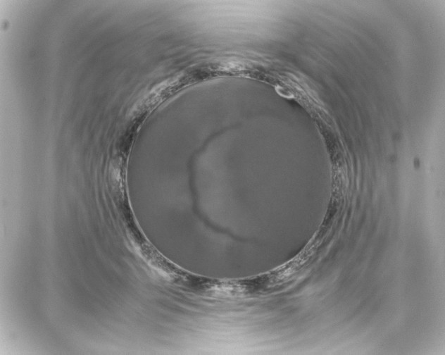 X0000087670415200705251624