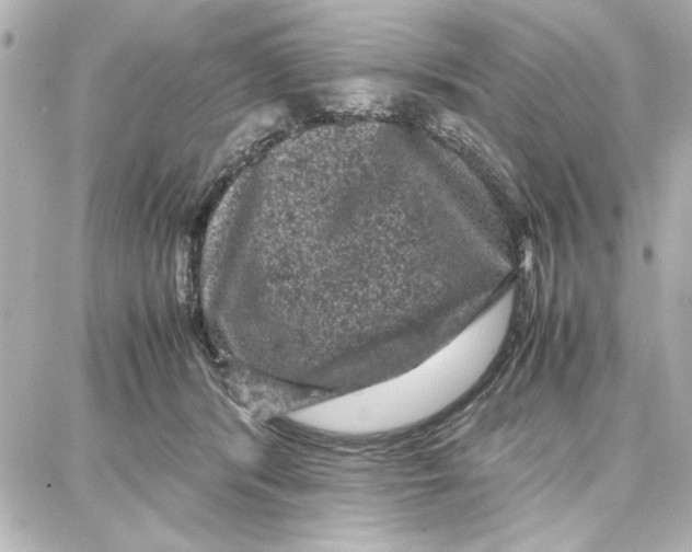 X0000087670416200705251624