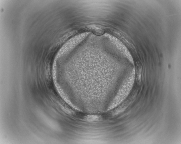 X0000087670418200705251624