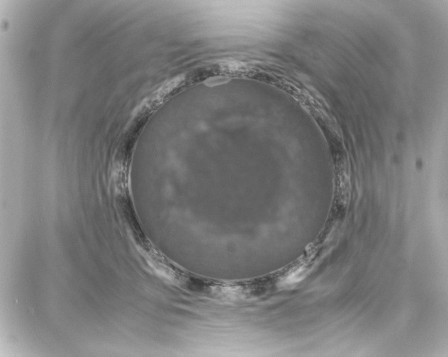 X0000087670419200705251624