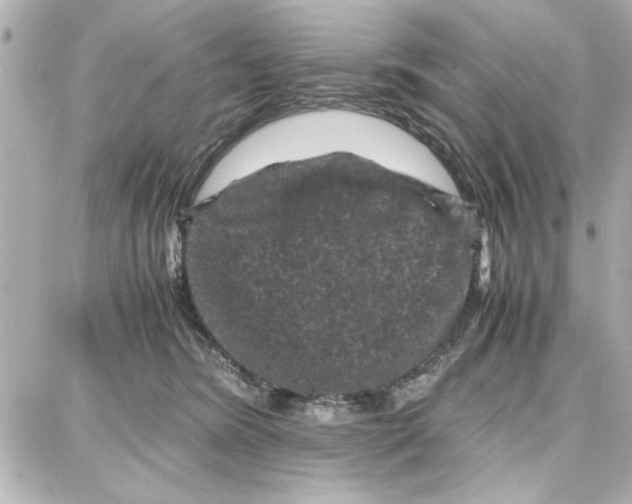 X0000087670420200705251624