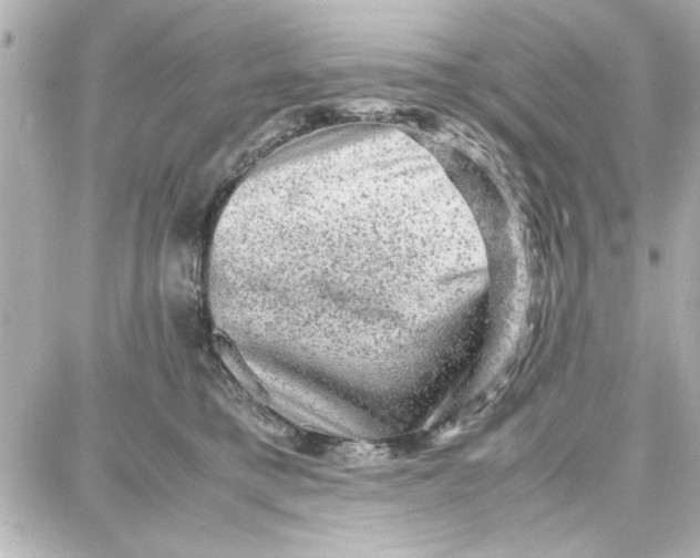 X0000087670421200705251624