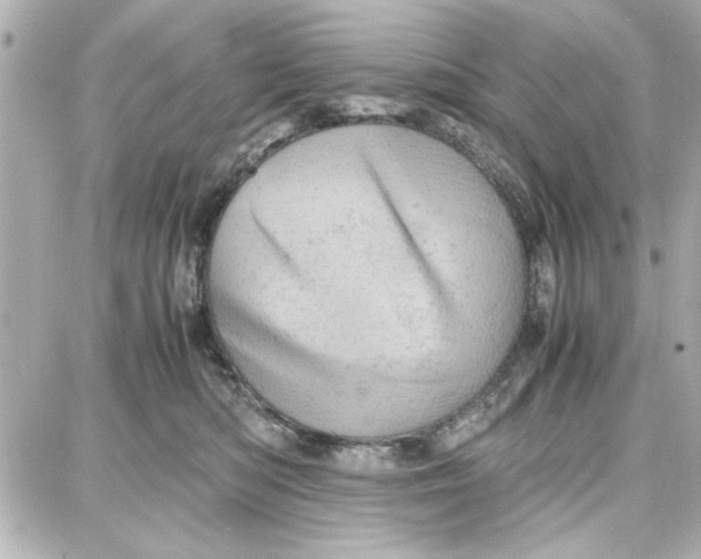 X0000087670422200705251623