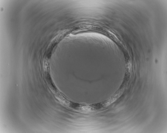 X0000087670423200705251623