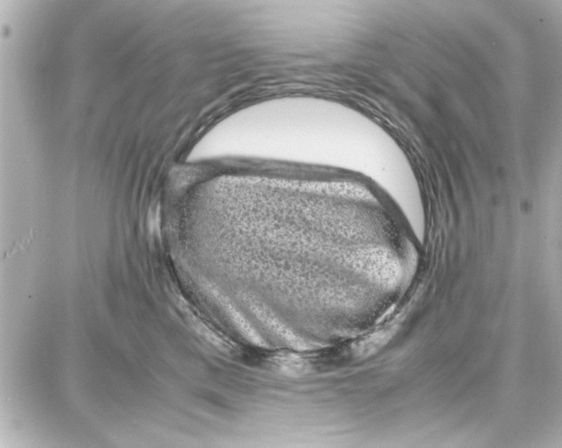 X0000087670425200705251623