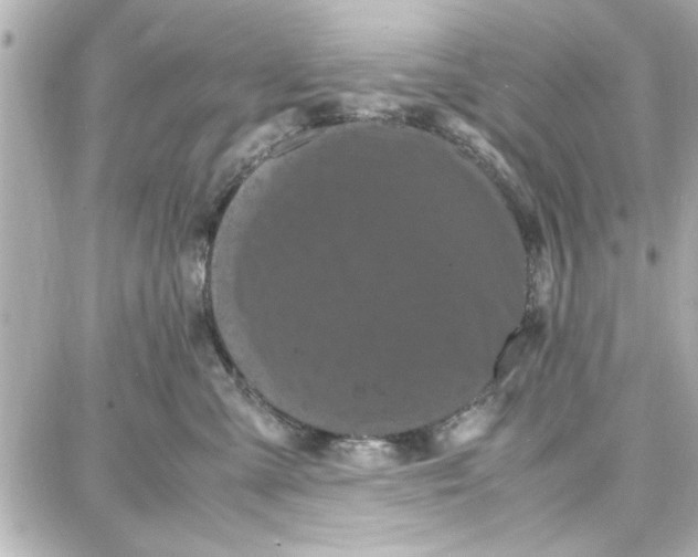 X0000087670427200705251623