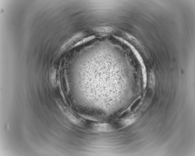 X0000087670428200705251623