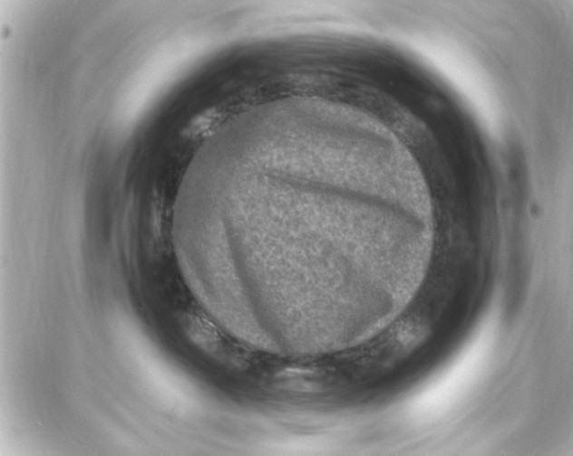 X0000087670430200705251623