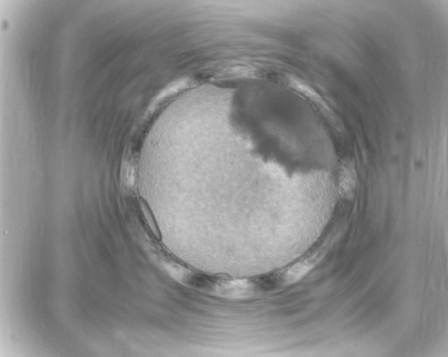 X0000087670431200705251623