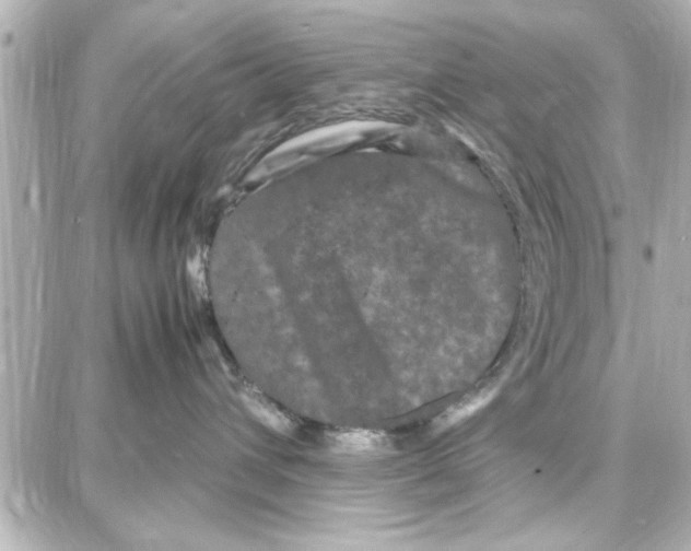 X0000087670432200705251623