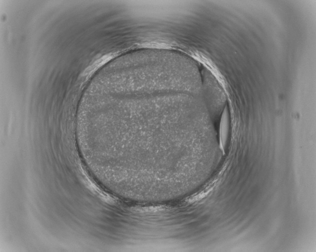 X0000087670433200705251623