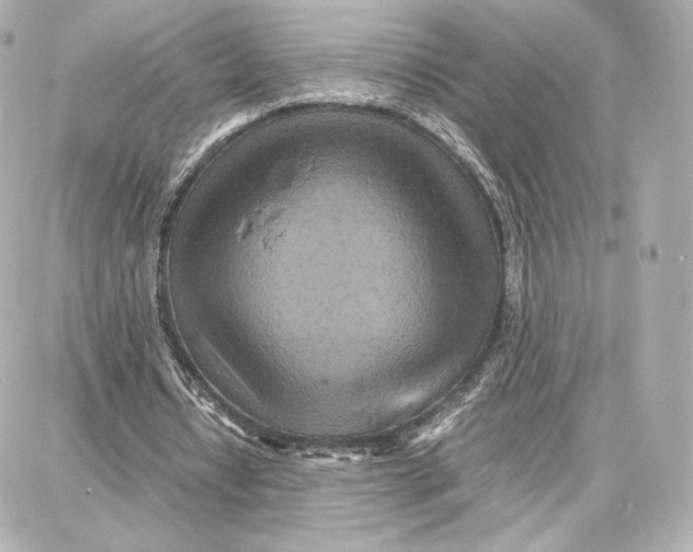 X0000087670434200705251623