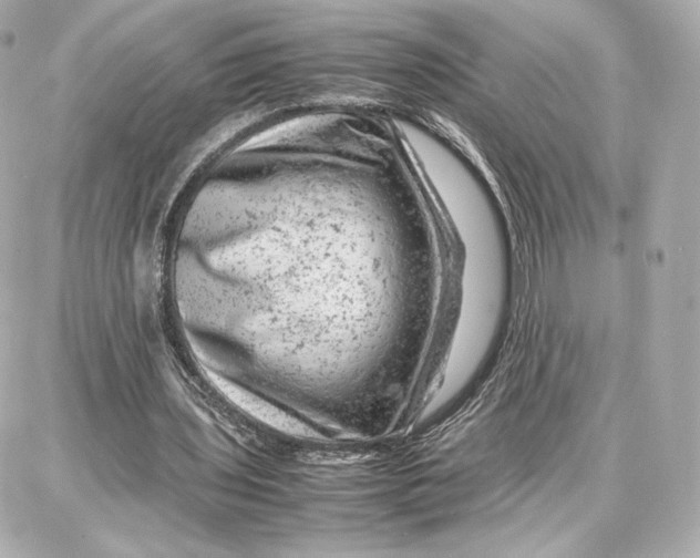 X0000087670435200705251623