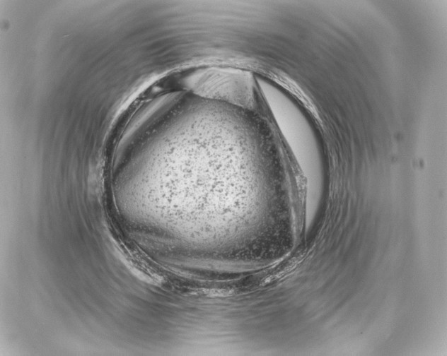 X0000087670436200705251623