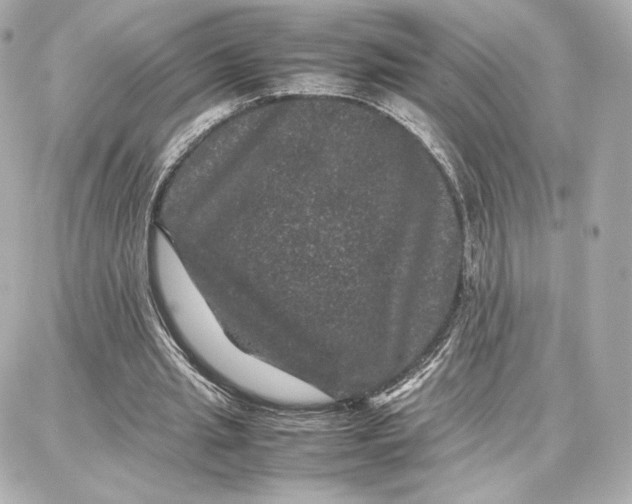 X0000087670437200705251623