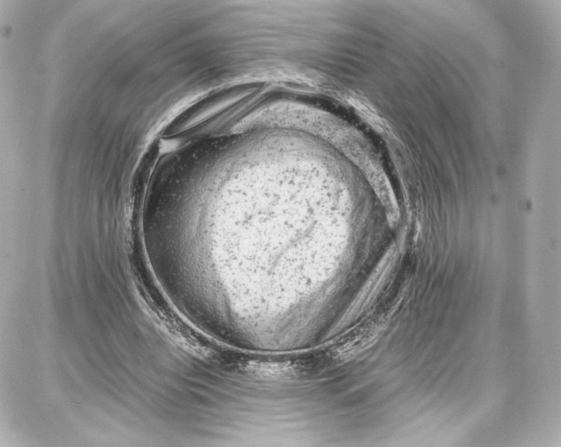 X0000087670440200705251623