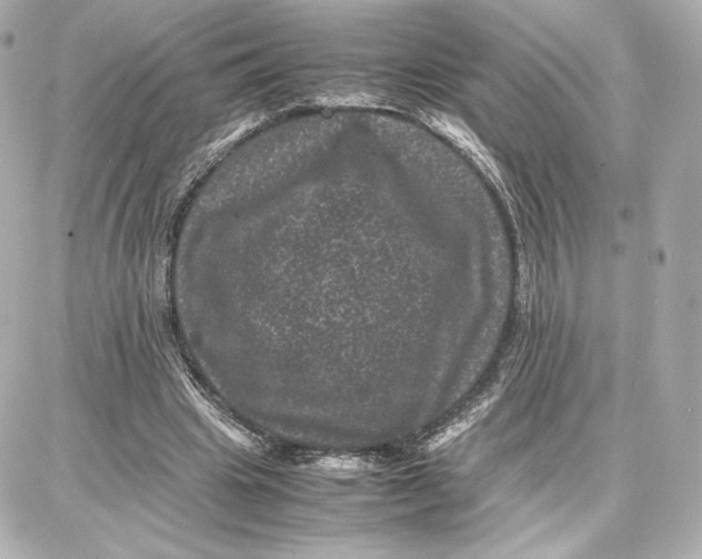 X0000087670441200705251623