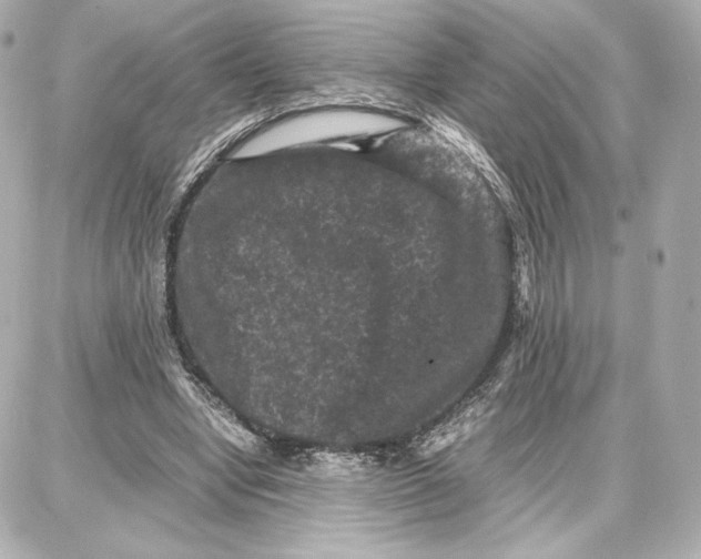 X0000087670442200705251623