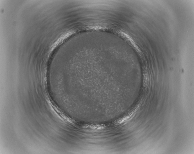 X0000087670443200705251623