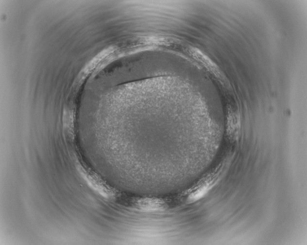 X0000087670444200705251623