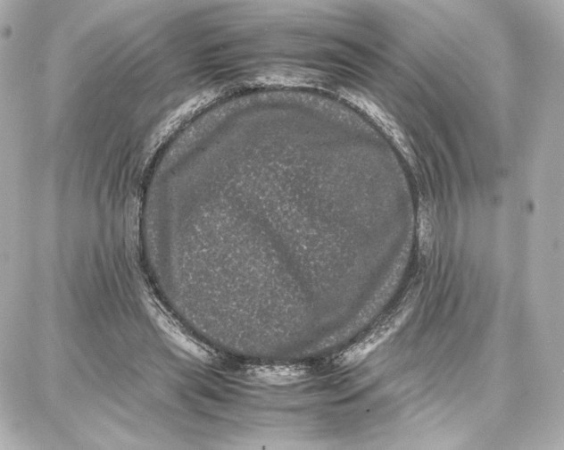 X0000087670445200705251623