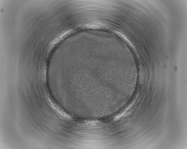 X0000087670446200705251623