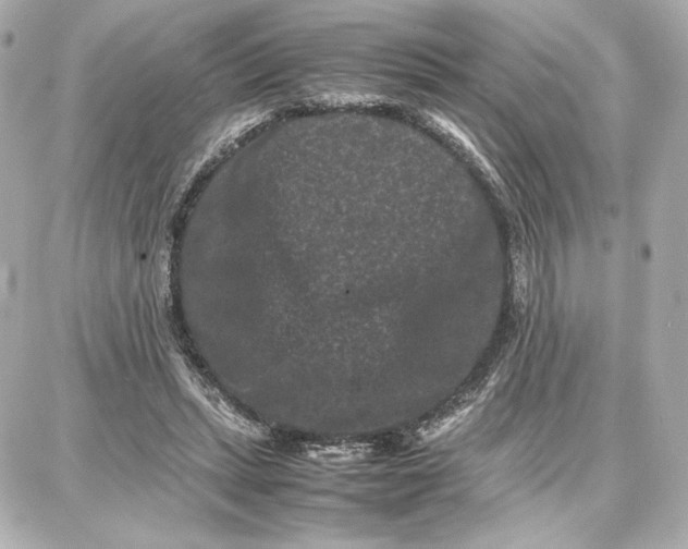 X0000087670447200705251623