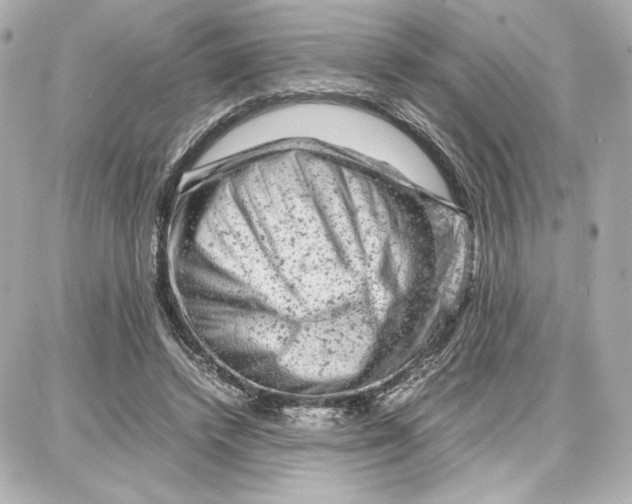 X0000087670448200705251623