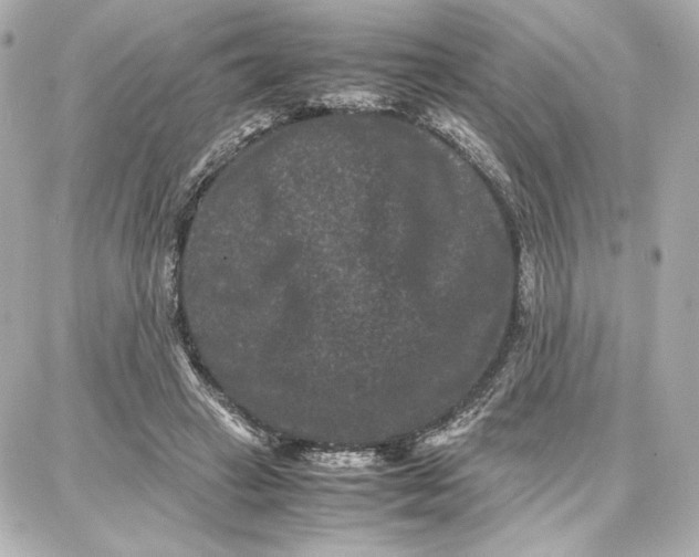 X0000087670449200705251623