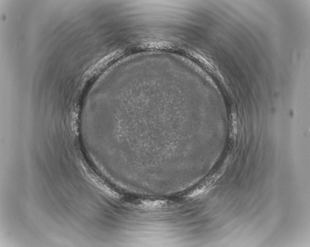 X0000087670450200705251623