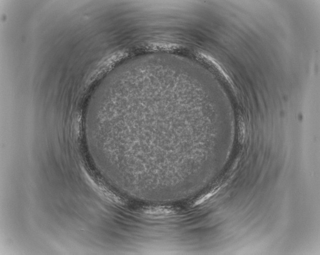 X0000087670451200705251623