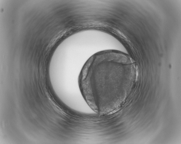 X0000087670452200705251623