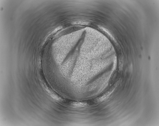 X0000087670453200705251623