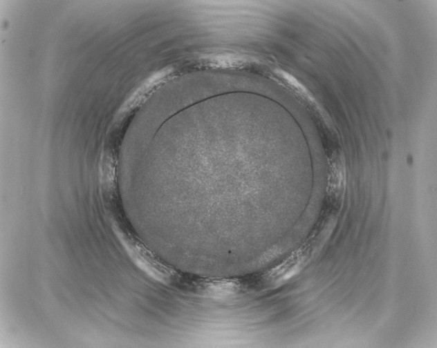 X0000087670456200705251623