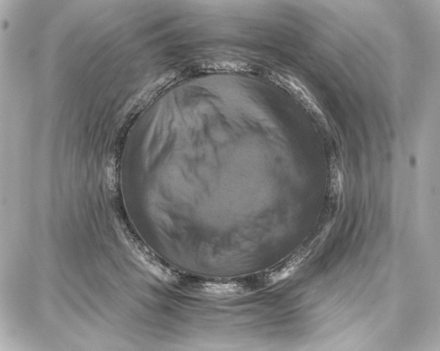 X0000087670457200705251623