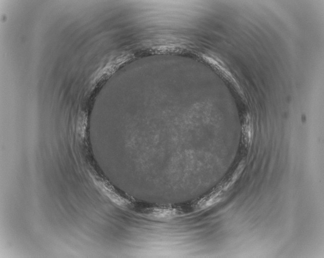 X0000087670458200705251623