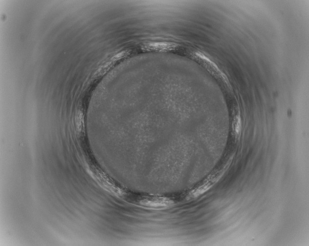 X0000087670459200705251623