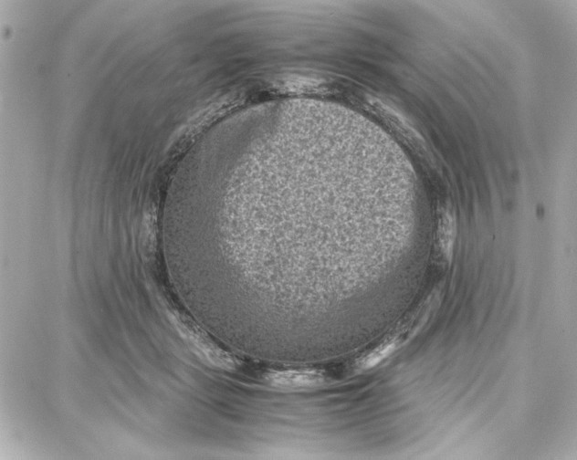 X0000087670461200705251623