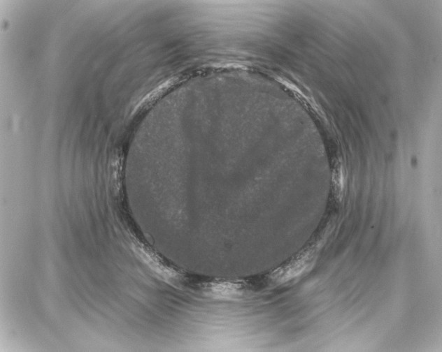 X0000087670462200705251623