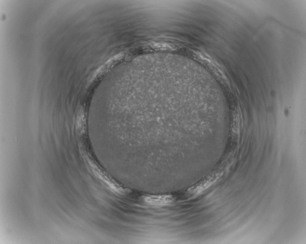 X0000087670465200705251623