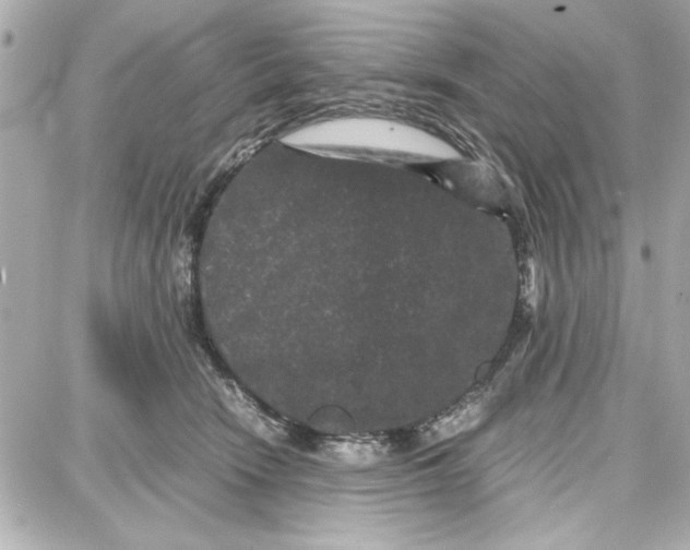 X0000087670466200705251623