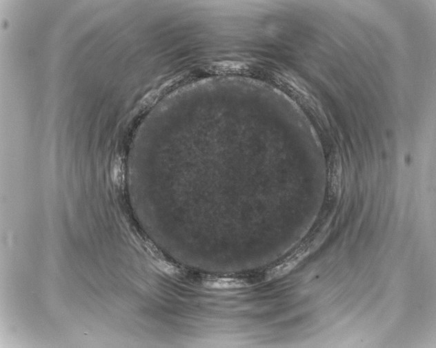 X0000087670467200705251623